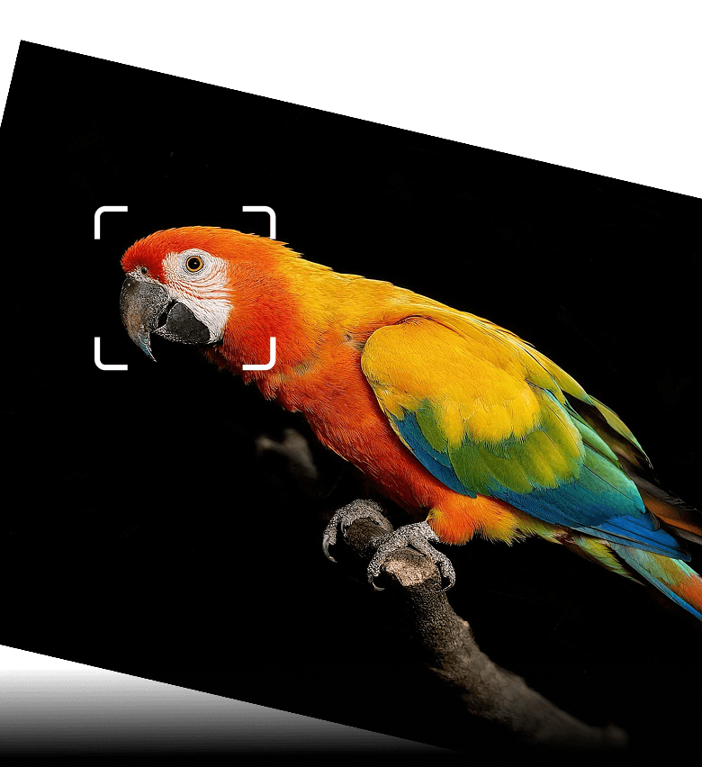 High Quality ImagingSystem by Sony