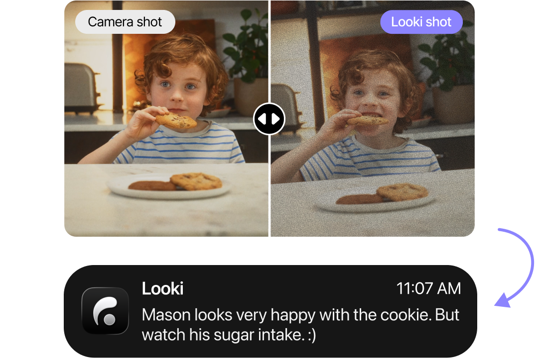Looki L1 – Looki Tech Limited